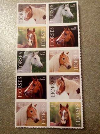 10- FOREVER US POSTAGE STAMPS. HORSES