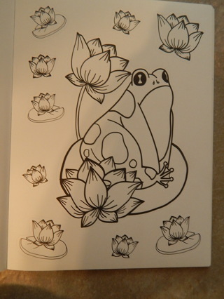 Color Your Own FROG & LILYPADS Stickers!  Get Creative and Have fun!