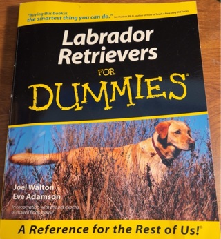 Labrador Retrievers for Dummies 