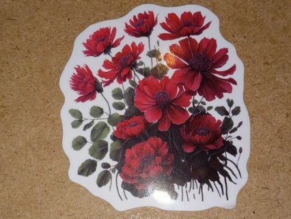 Pretty new one vinyl laptop sticker no refunds regular mail only