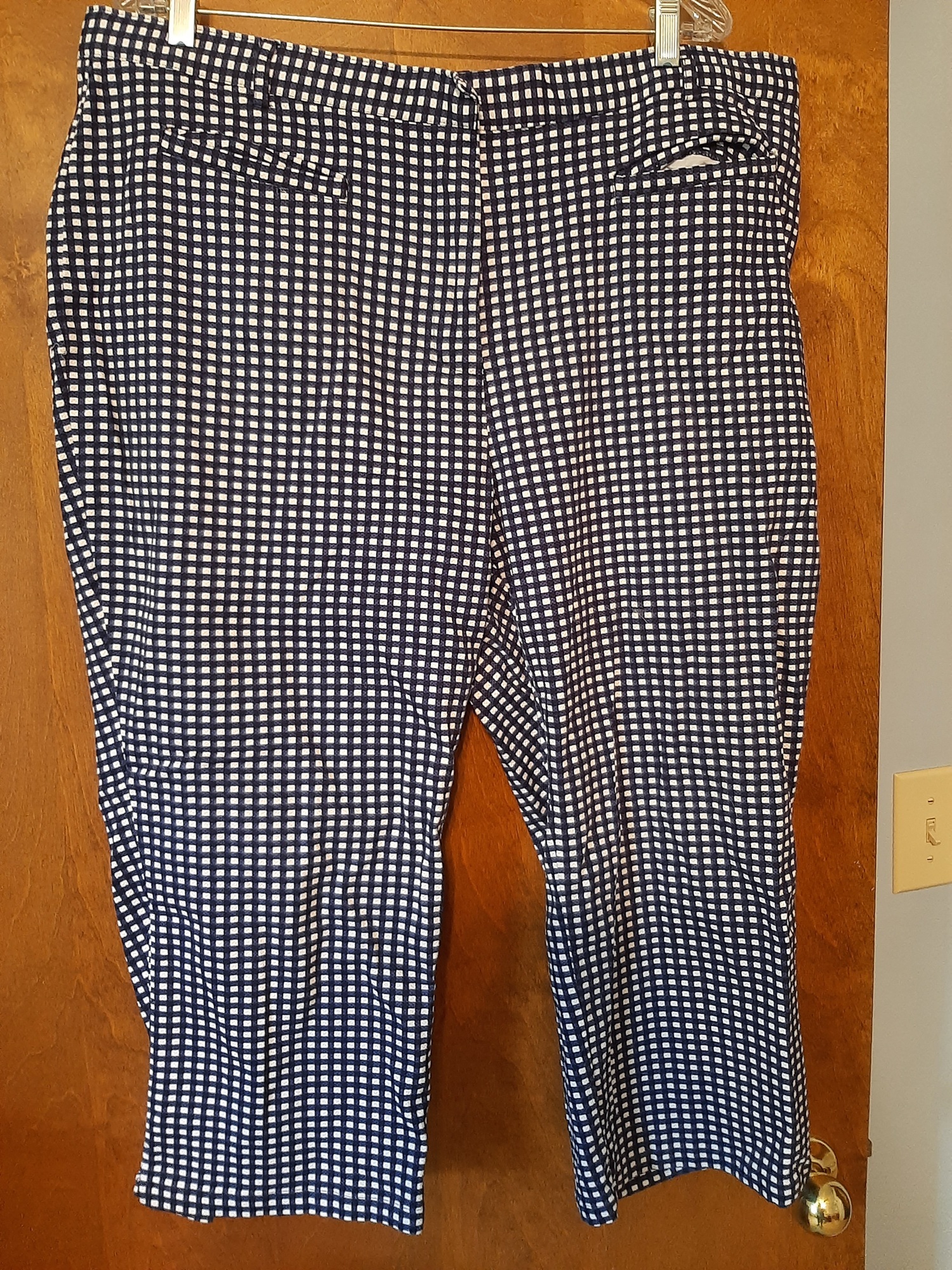 Free: Blue and White Checked Capris by Signature Collection 