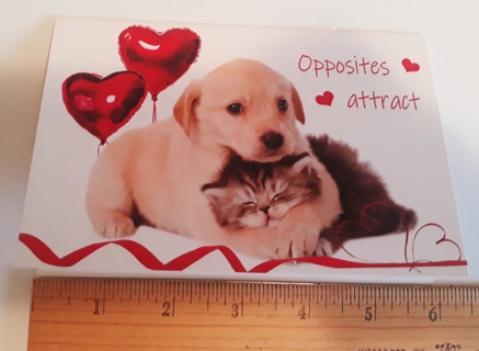 ❤️ Valentine's Day Card (Puppy & Kitten) w/Envelope + BONUS Stickers