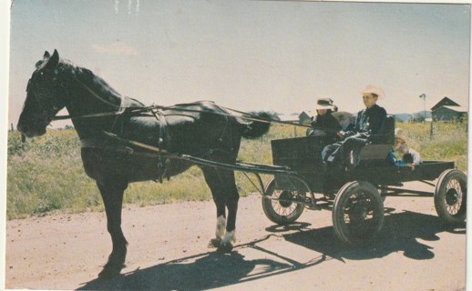 Vintage Used Postcard: (gin11) Mexico