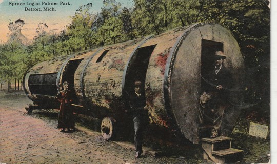 Vintage Used Postcard: L: 1912 Spruce Log at Palmer Park, Detroit, MI
