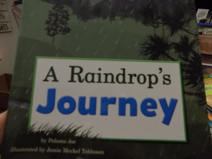 A Raindrop's Journey by Patrica Jones