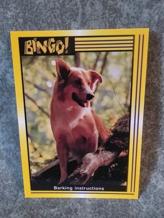 Bingo Trading Card # 34