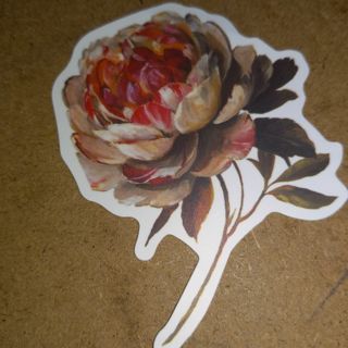 Flower Cool new one vinyl lap top sticker no refunds regular mail very nice quality love them