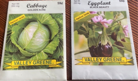 Cabbage and eggplant seeds 