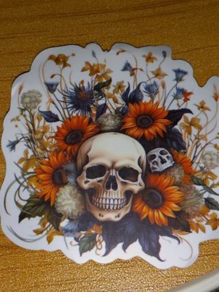 Beautiful new one nice vinyl lap top sticker no refunds regular mail only very nice quality