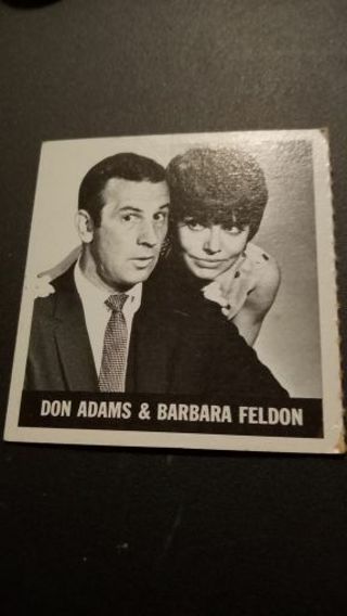 Don Adams & Barbara Feldon