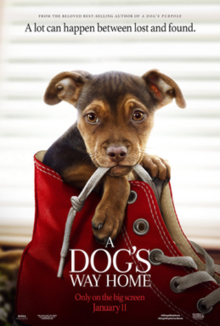 A Dog's Way Home HD (MOVIESANYWHERE) MOVIE