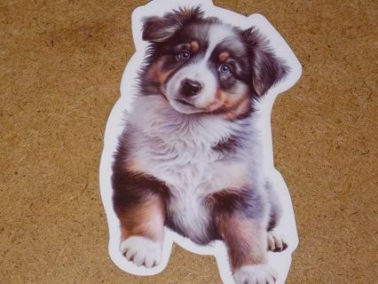 Dog Cute one new nice vinyl lab top sticker no refunds regular mail high quality!