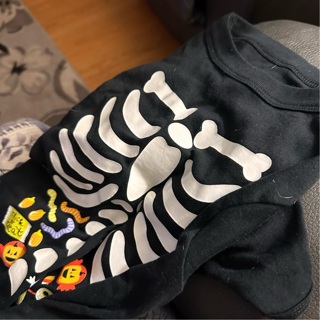 Halloween dog shirt M