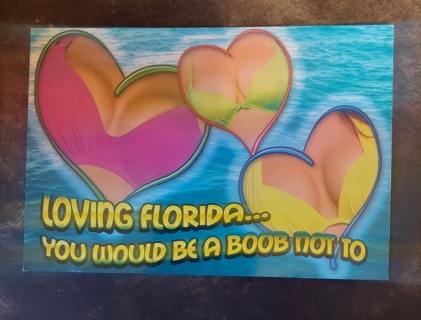 Loving Florida Postcard 