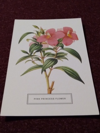 Botanical Postcard - PINK PRINCESS FLOWER