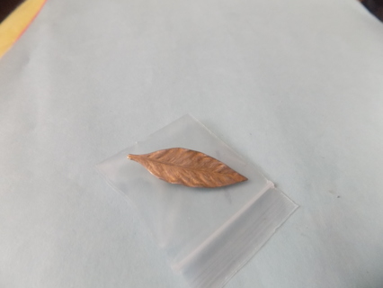 goldtone 2 inch leaf veined charm leaf comes to a point