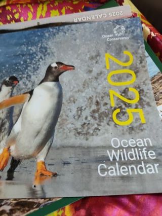 2025 Calendar Ocean wildlife