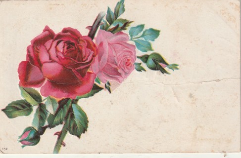 Vintage Used Postcard: (e): 1907 Greeting