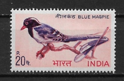 1968 India Sc480 20p Red Billed Blue Magpie MNH