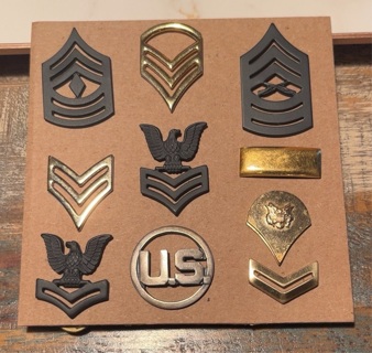 Collection of 10 Different Army & Navy Lapel Pins