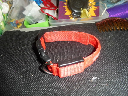 Red Dog Collar that Lights up