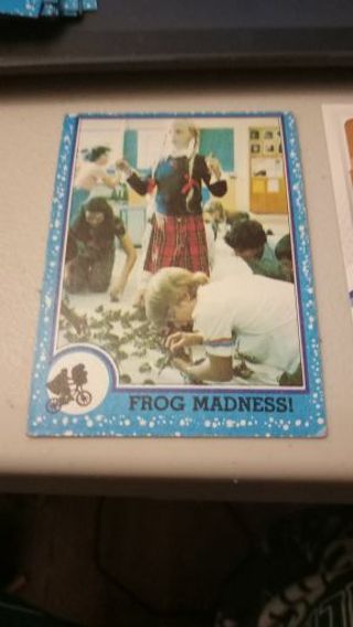 Frog Madness!