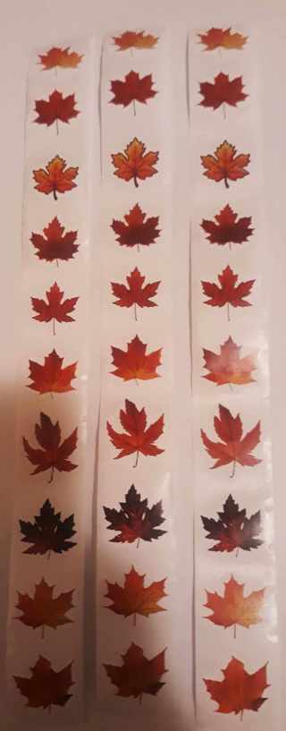 30 Fall/Autumn Leaf Stickers