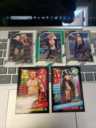 WWE Wrestling card lot