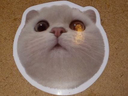 Cat Cute new one vinyl sticker no refunds regular mail only Very nice win 2 or more get bonus