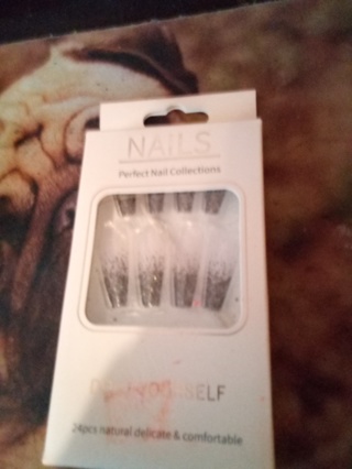 Artifical Nails in package