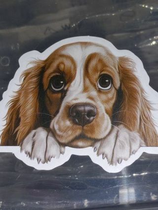 Adorable nice one small sticker no refunds regular mail only Very nice quality!