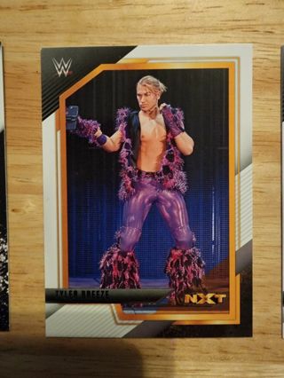 2022 WWE/NXT Tyler Breeze