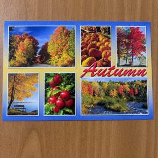 Autumn Post Card 