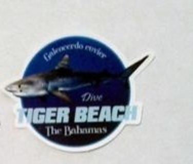 The Bahamas Tiger Beach Shark Sticker