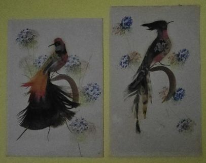 Two Different Vintage Bird Cards w Real Feathers