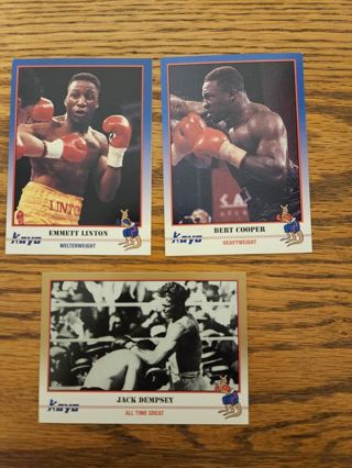 1991 KAYO Boxing trading cards.