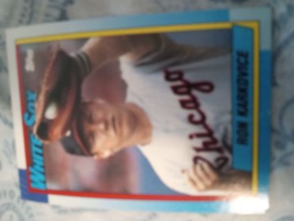 Ron Karko ice 1990 Topps Chicago White Sox