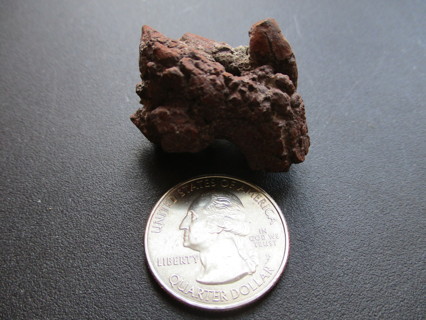 Coprolite Fossil Specimen - Extra 'Chunky'