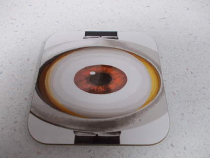 MINION Eye Coaster