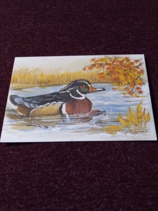 Notecard - Wood Duck