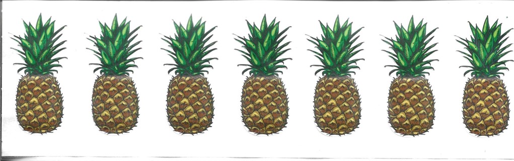 7 Brand New Pineapple Bandages