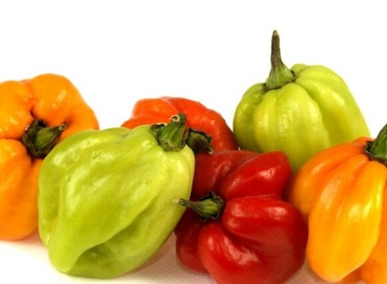 Scotch Bonnet