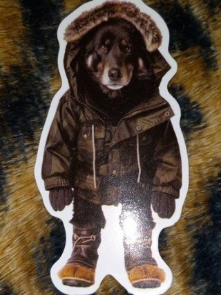 Dog Cute new one vinyl laptop sticker no refunds regular mail no lower very nice