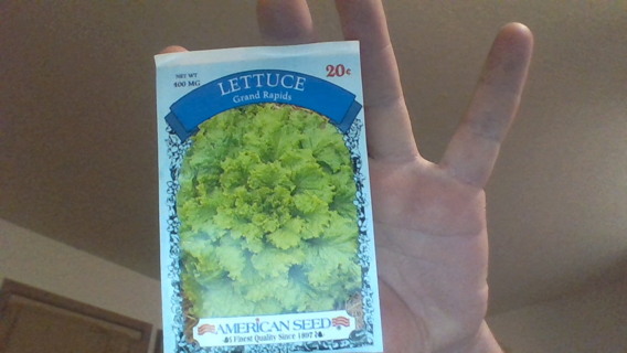 lettuce grand rapids