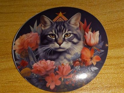 Cat Cute new one vinyl sticker no refunds regular mail only Very nice quality