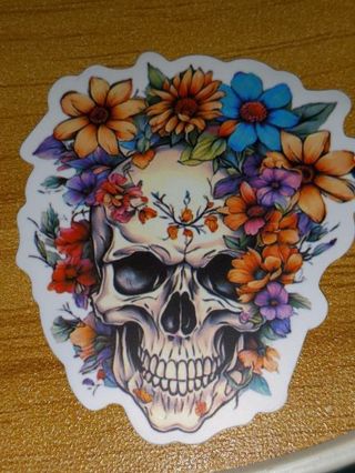 Cool one vinyl sticker no refunds regular mail only Very nice quality!