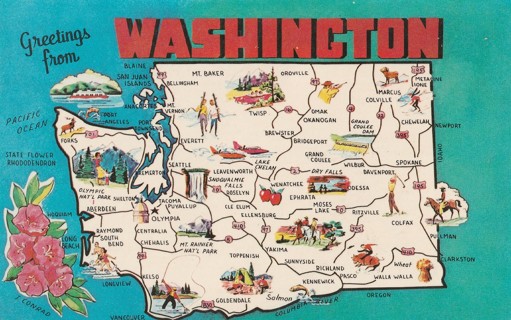 Vintage Unused Postcard: (gin9): Greetings from Washington