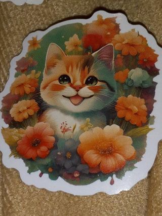 Cat Cute one nice vinyl sticker no refunds regular mail Win 2 or more get bonus