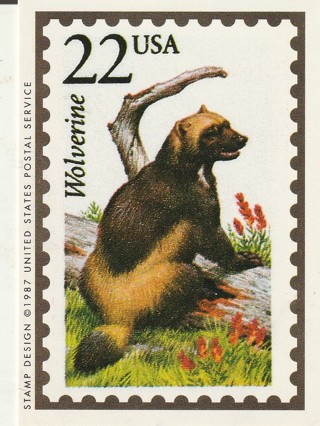 Vintage Wildlife America Collector/Trade Card: Wolverine