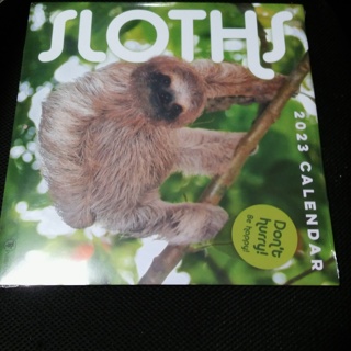 Sloth 2023 Calendar